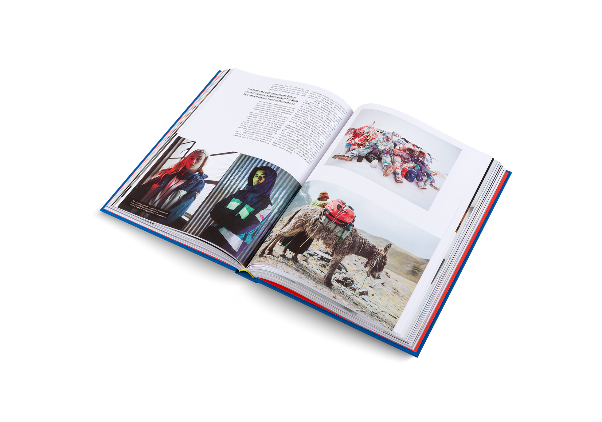 The Incomplete (Updated Edition) DIE GESTALTEN VERLAG UK LTD