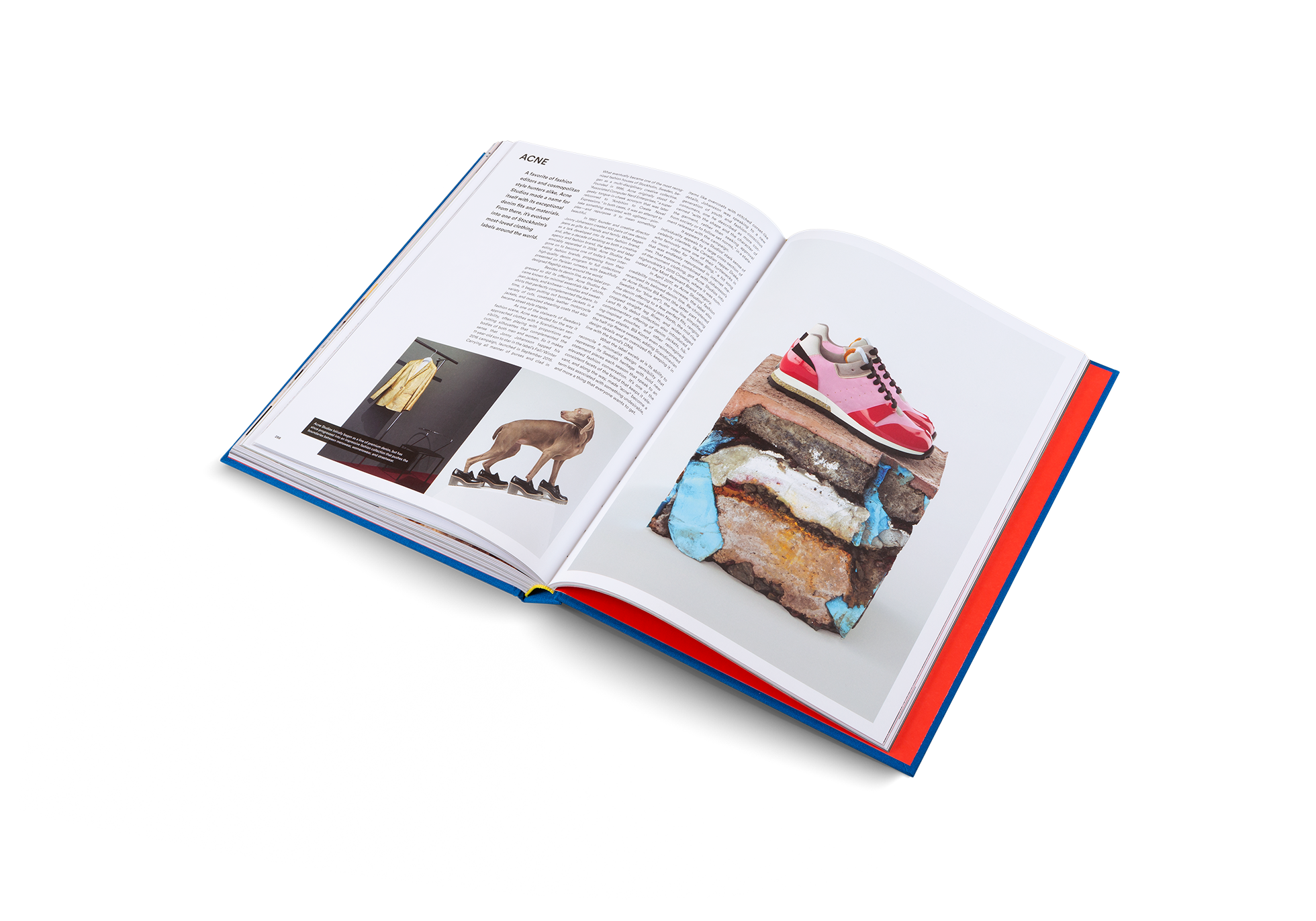 The Incomplete (Updated Edition) DIE GESTALTEN VERLAG UK LTD