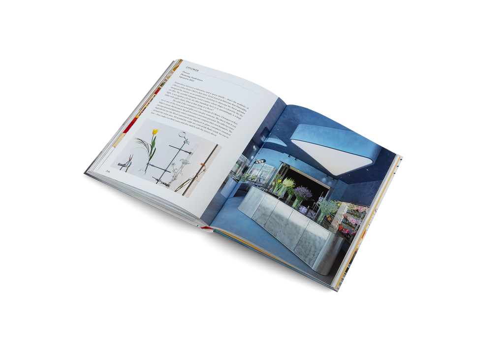 Think Big Shop Small − Unique Stores and Contemporary Retail Design DIE GESTALTEN VERLAG UK LTD
