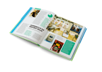 The World's Best Shops DIE GESTALTEN VERLAG UK LTD