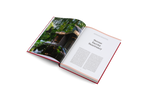 Creative Homes − Interiors and Design in Belgium DIE GESTALTEN VERLAG UK LTD