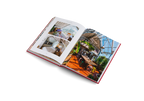 Creative Homes − Interiors and Design in Belgium DIE GESTALTEN VERLAG UK LTD
