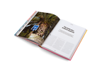 Courtside Candy − The Culture and Influence of Basketball DIE GESTALTEN VERLAG UK LTD