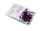 Roots and Wings − Peter Schreyer: Designer, Artist, and Visionary DIE GESTALTEN VERLAG UK LTD