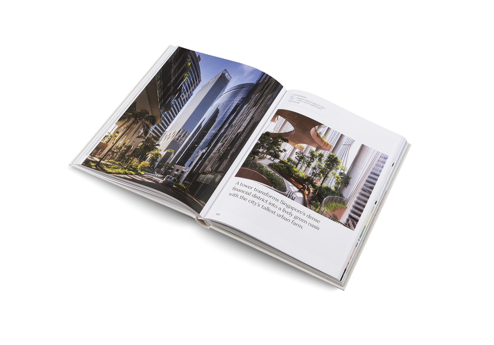 The House of Green − Natural Homes and Biophilic Architecture DIE GESTALTEN VERLAG UK LTD