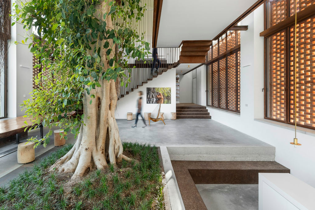 The House of Green − Natural Homes and Biophilic Architecture DIE GESTALTEN VERLAG UK LTD