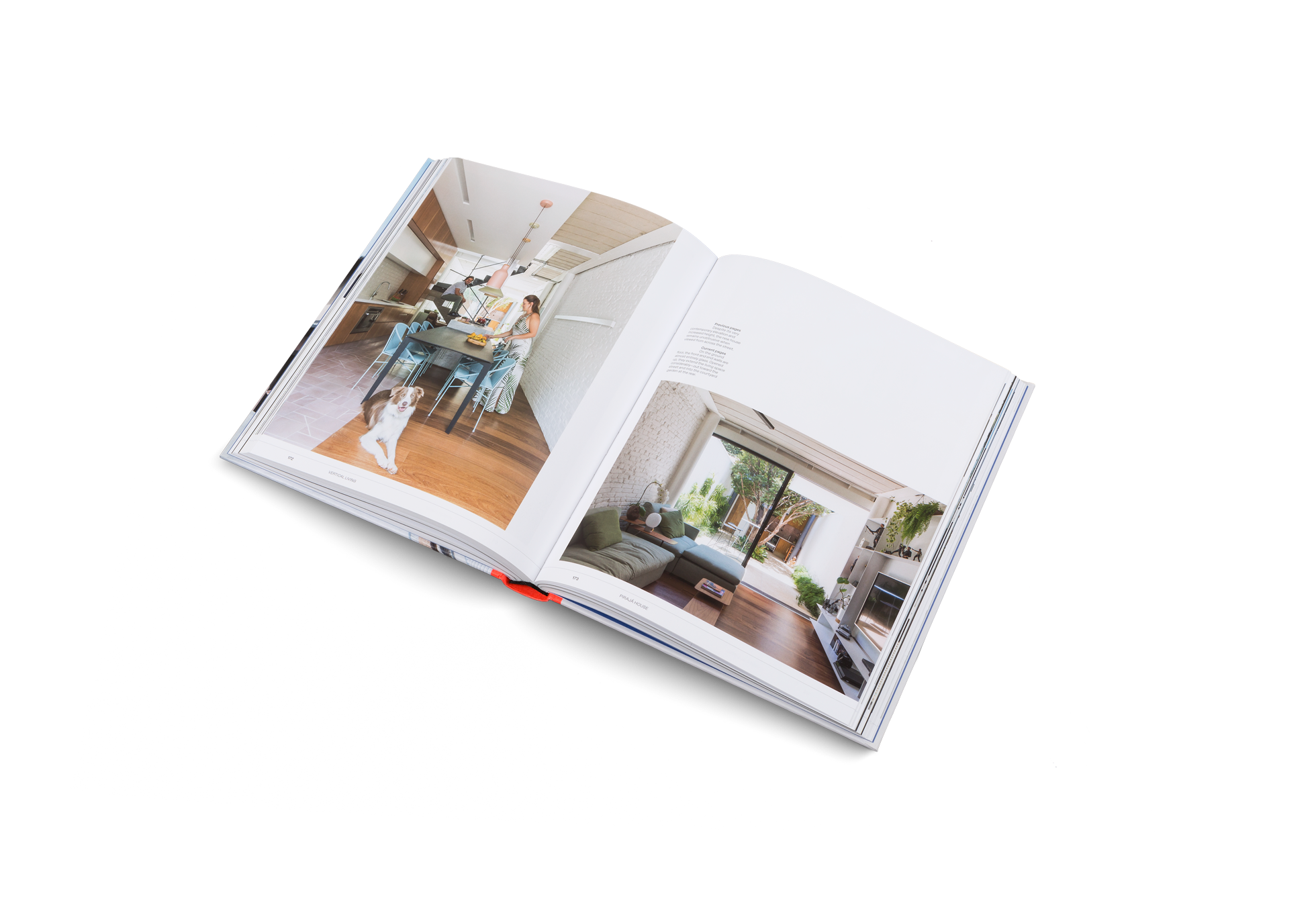 Vertical Living: Compact Architecture for Urban Spaces DIE GESTALTEN VERLAG UK LTD