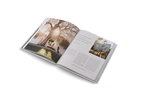 Mindful Places to Stay − Sublime Destinations for Yoga and Meditation DIE GESTALTEN VERLAG UK LTD