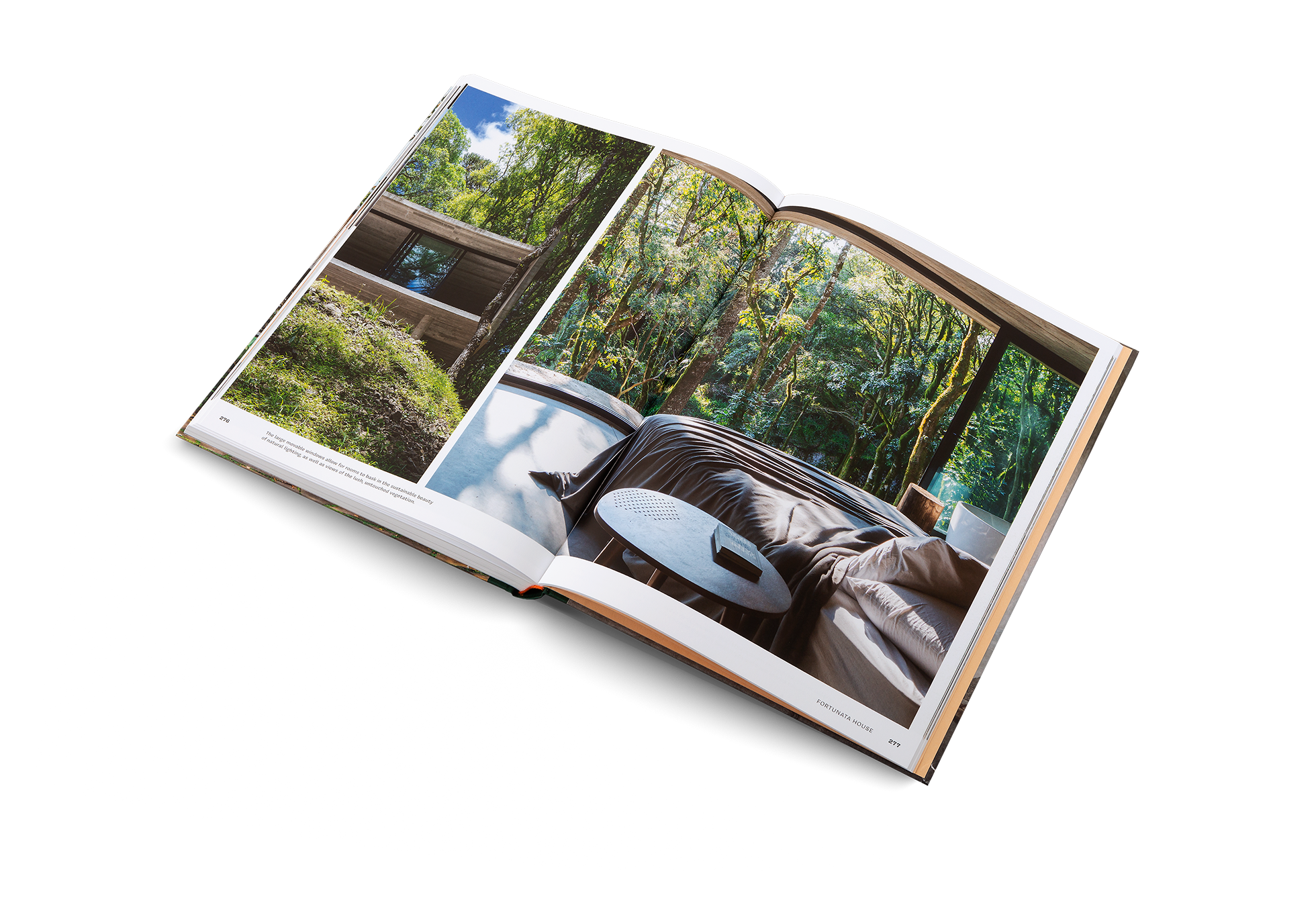 Concrete Jungle − Tropical Architecture and its Surprising Origins DIE GESTALTEN VERLAG UK LTD