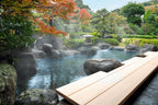 Onsen and Ryokan of Japan − Traditional Spa and Bathing Culture DIE GESTALTEN VERLAG UK LTD
