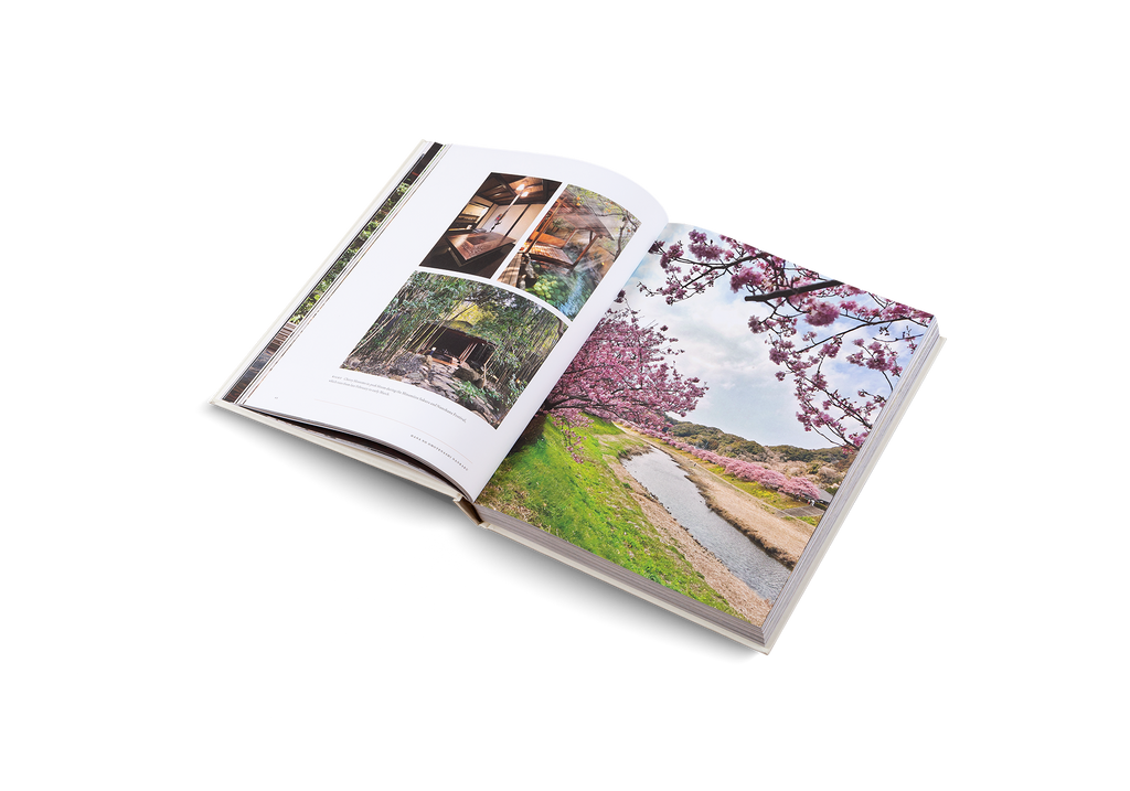 Onsen and Ryokan of Japan − Traditional Spa and Bathing Culture DIE GESTALTEN VERLAG UK LTD