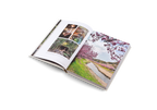 Onsen and Ryokan of Japan − Traditional Spa and Bathing Culture DIE GESTALTEN VERLAG UK LTD