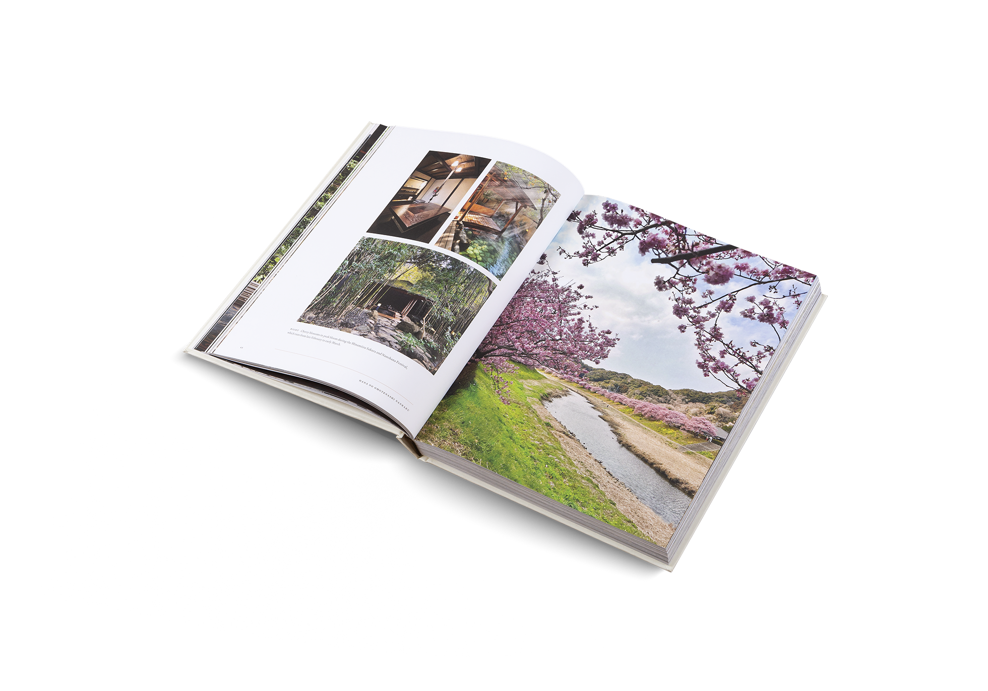 Onsen and Ryokan of Japan − Traditional Spa and Bathing Culture DIE GESTALTEN VERLAG UK LTD