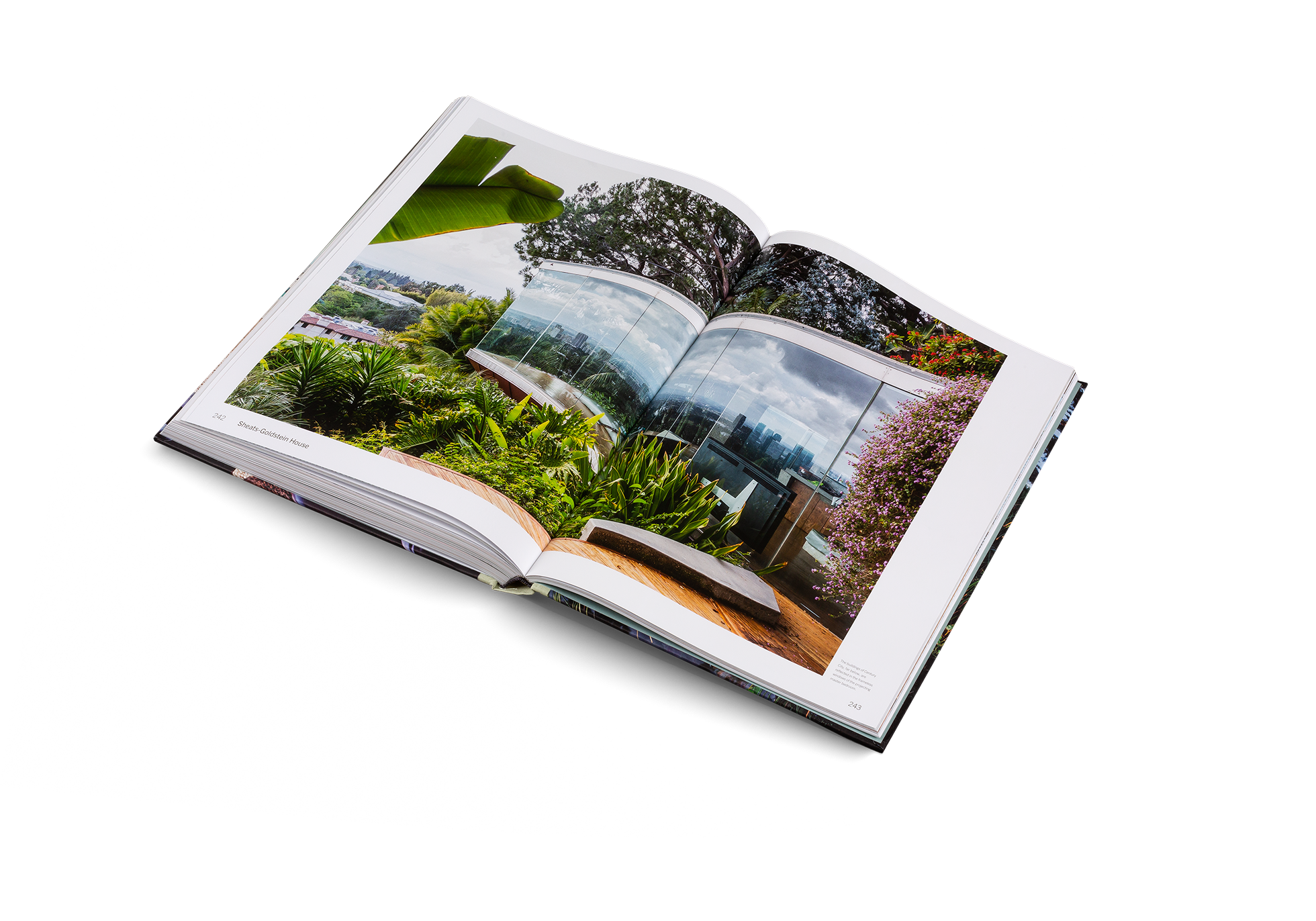 American Icons − The Architecture of the United States: Visions and Defiance