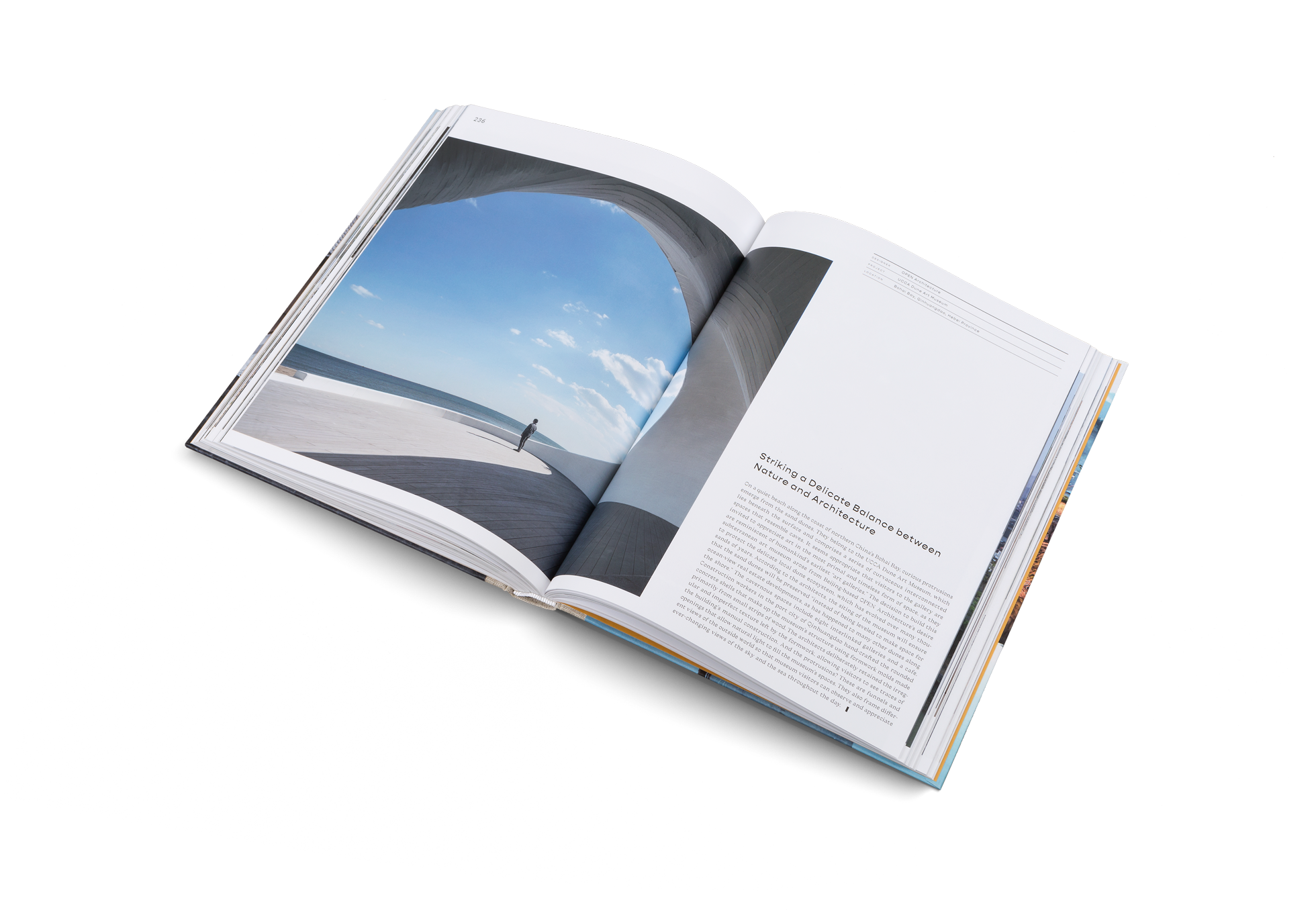 Beauty and the East − New Chinese Architecture DIE GESTALTEN VERLAG UK LTD