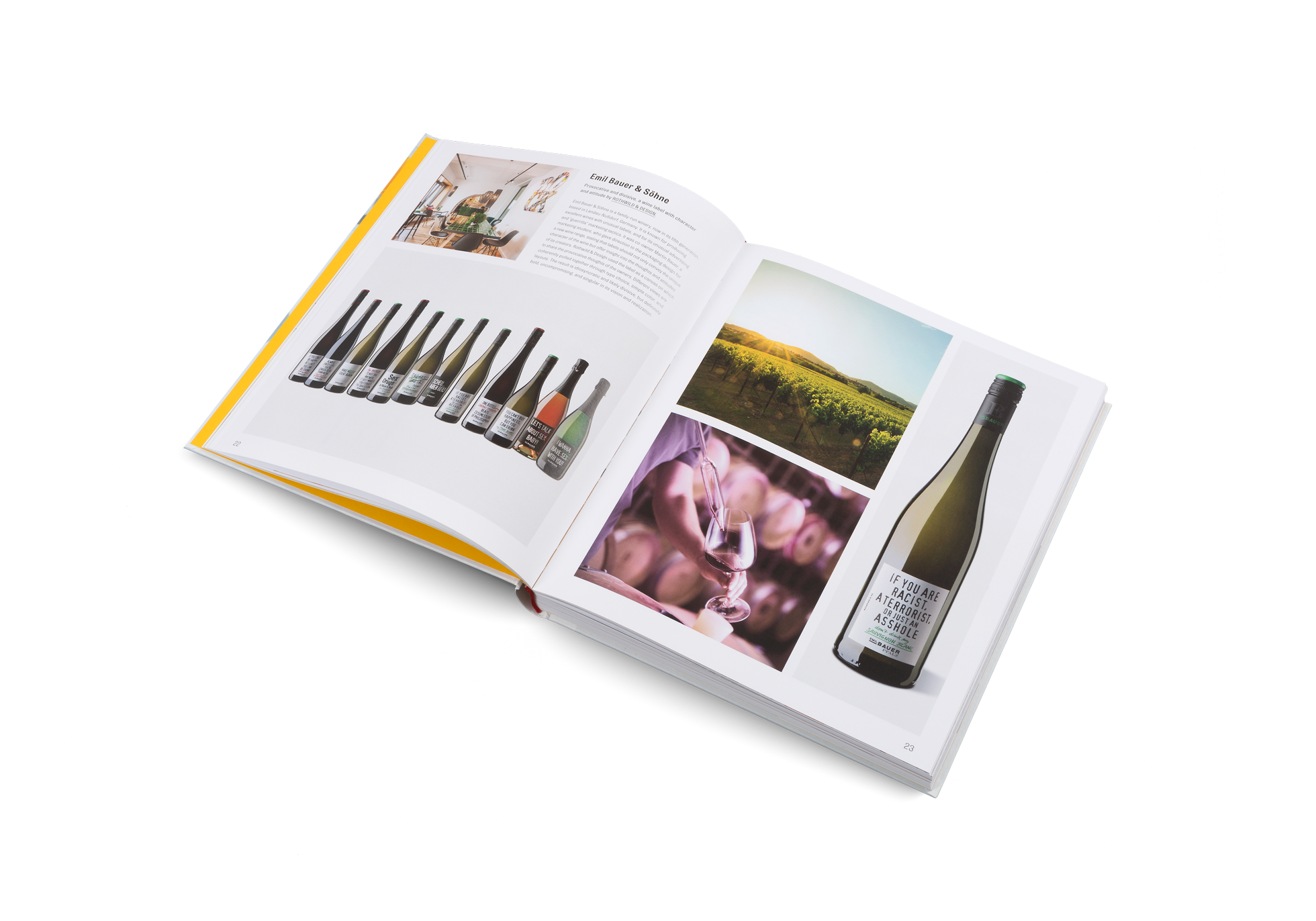 Brand New Brand − Restarting Your Business in a Time of Crisis and Transformation DIE GESTALTEN VERLAG UK LTD