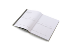 Designing Brands − A Collaborative Approach to Creating Meaningful Identities DIE GESTALTEN VERLAG UK LTD