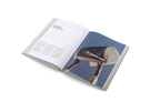 Designing Brands − A Collaborative Approach to Creating Meaningful Identities DIE GESTALTEN VERLAG UK LTD