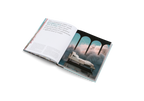 Dreamscapes & Artificial Architecture − Imagined interior design in digital art DIE GESTALTEN VERLAG UK LTD