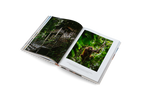 Life on the Road − Around the World on Four Wheels DIE GESTALTEN VERLAG UK LTD
