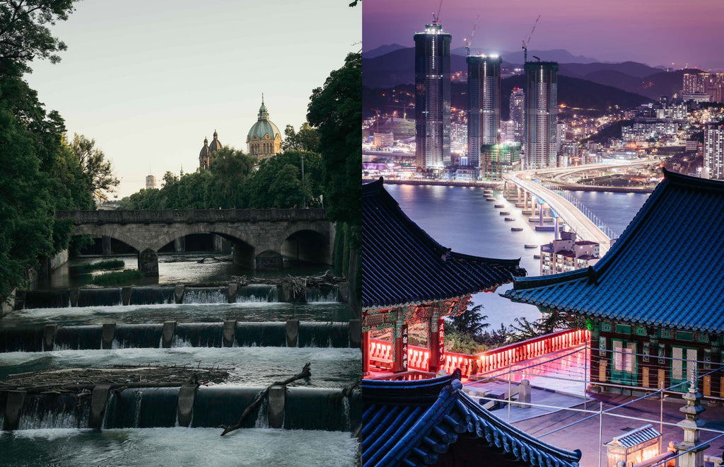 Roots and Wings − Peter Schreyer: Designer, Artist, and Visionary