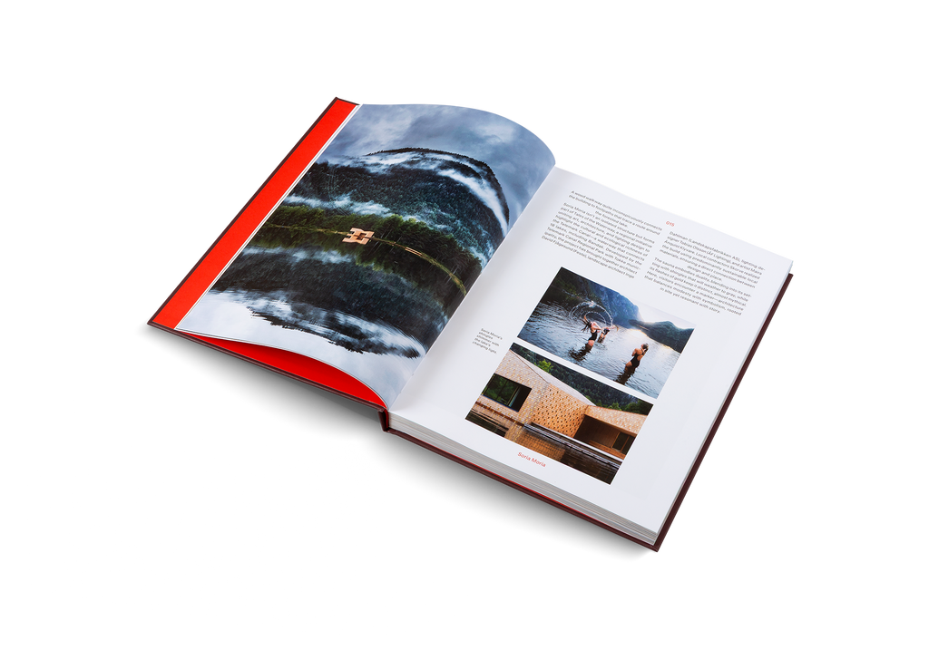 Ridiculously Good-Looking Saunas DIE GESTALTEN VERLAG UK LTD
