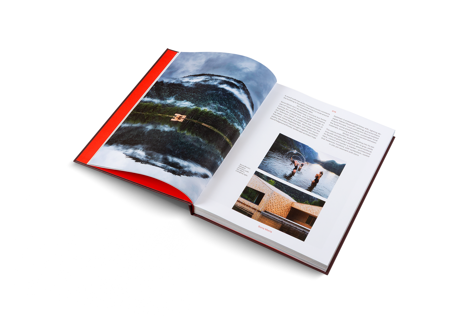 Ridiculously Good-Looking Saunas DIE GESTALTEN VERLAG UK LTD