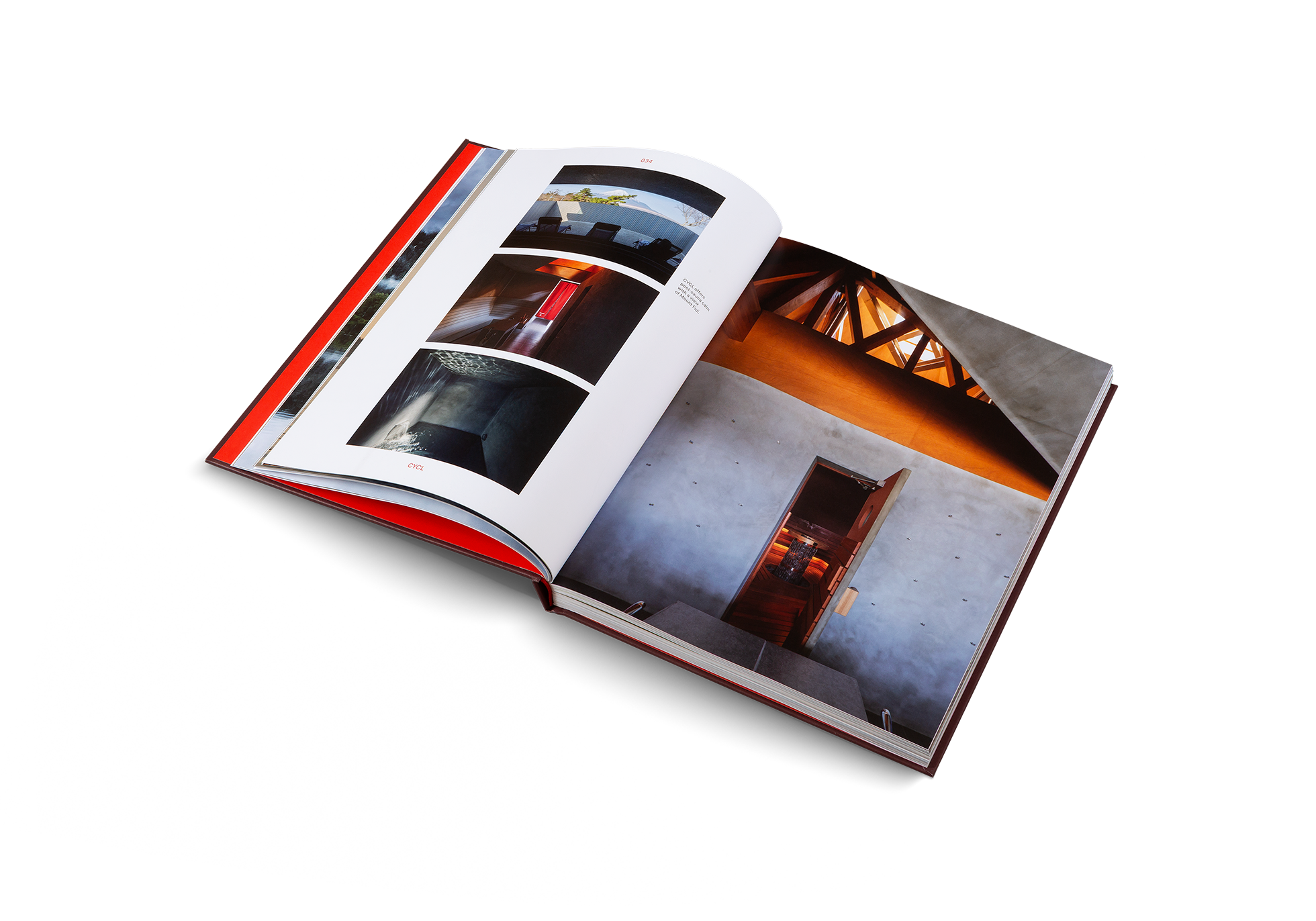 Ridiculously Good-Looking Saunas DIE GESTALTEN VERLAG UK LTD