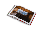 Ridiculously Good-Looking Saunas DIE GESTALTEN VERLAG UK LTD