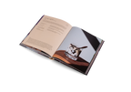 Spill the Beans (Updated Edition) − Global Coffee Culture and Recipes DIE GESTALTEN VERLAG UK LTD