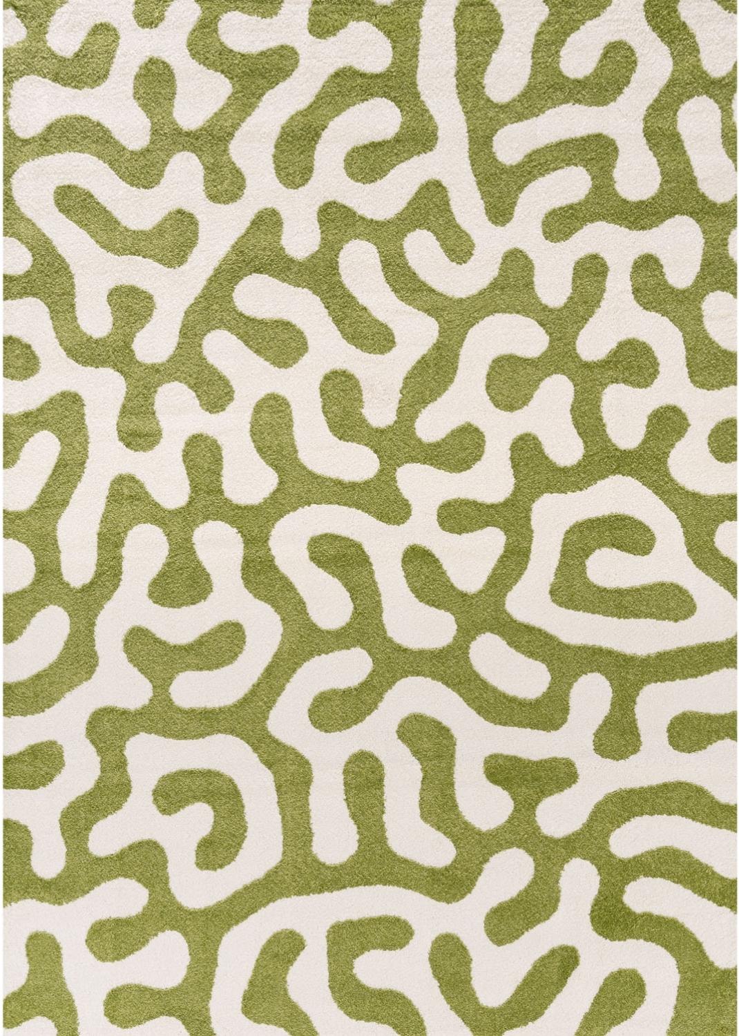 Patterned rug with white and green design on a green background