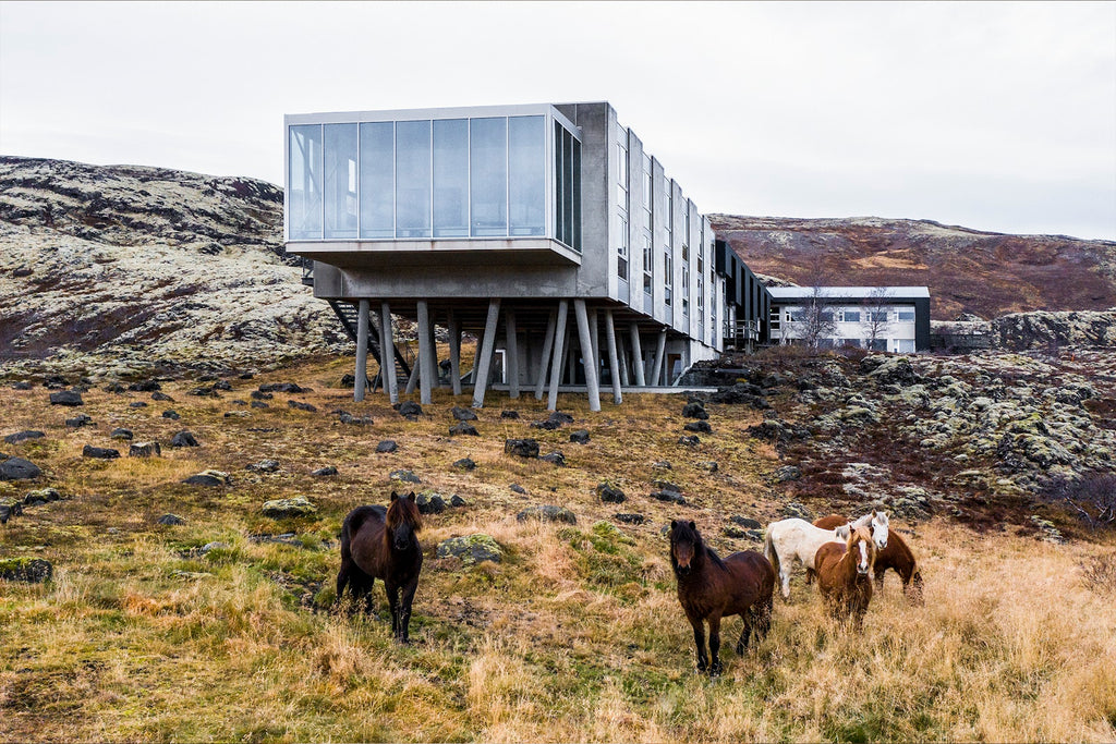 Designed to Stay − The Design Hotels™ Book DIE GESTALTEN VERLAG UK LTD