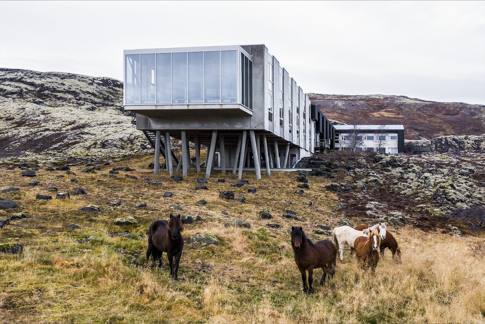 Designed to Stay − The Design Hotels™ Book DIE GESTALTEN VERLAG UK LTD